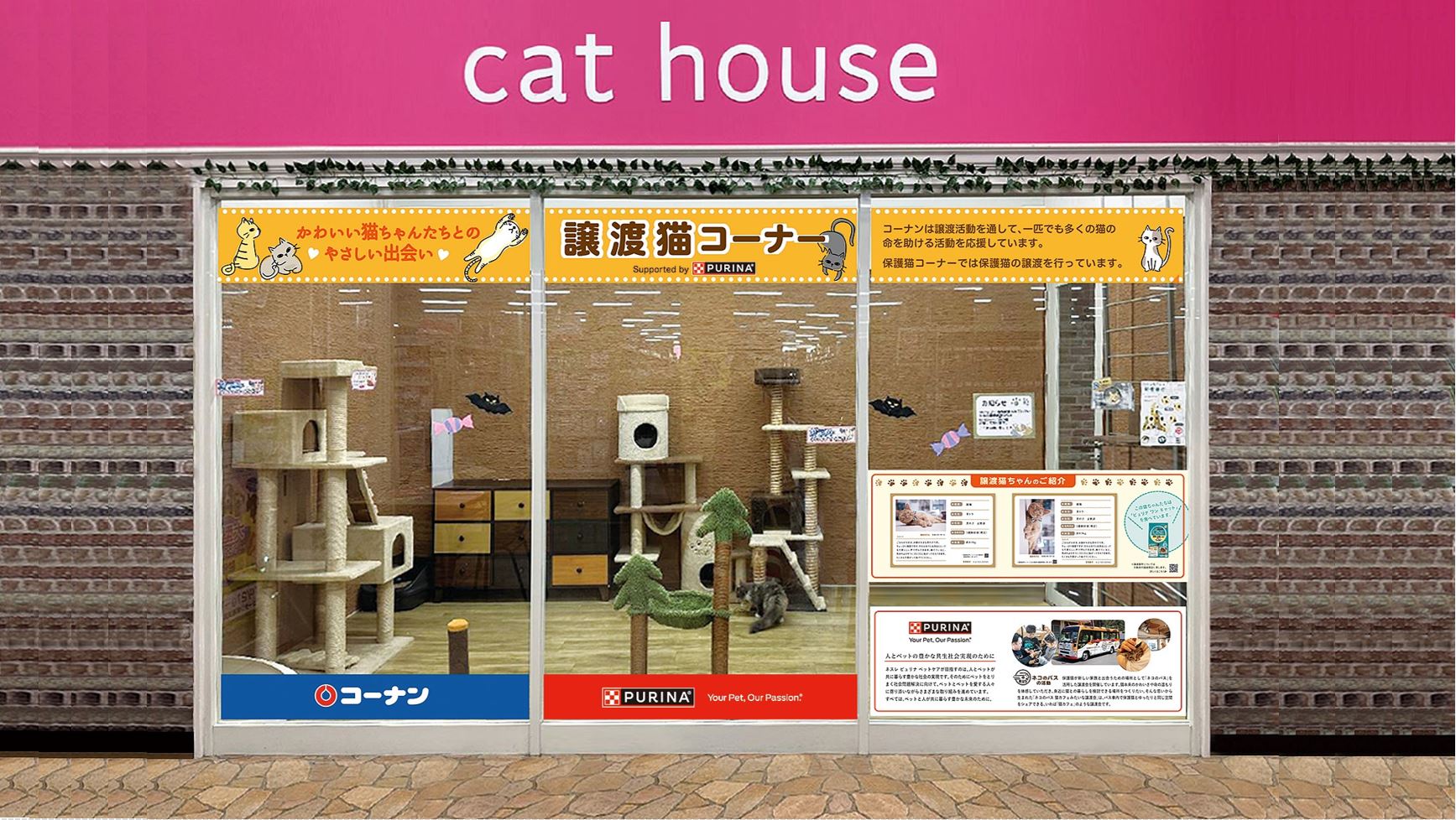 ピュリナ成猫202402
